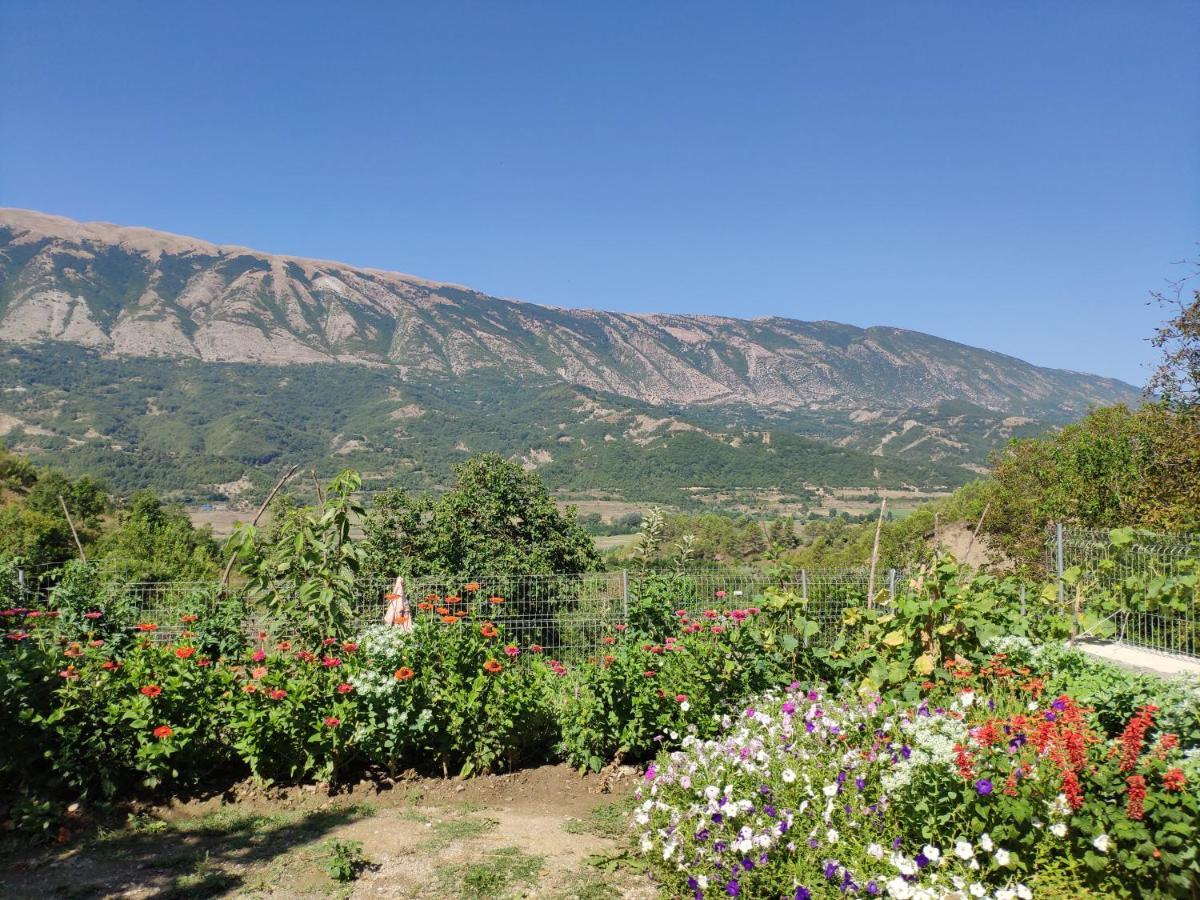 Stone House Villa Kelcyre Екстериор снимка