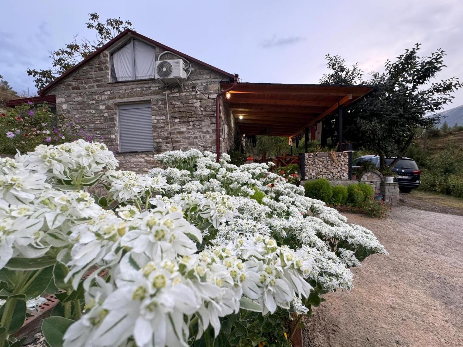 Stone House Villa Kelcyre Екстериор снимка